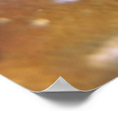 Spinycheek Anenomefish Poster (Ecke)