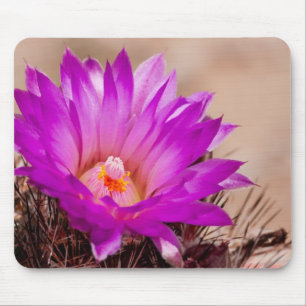 Spinystar Kaktus-Blume Mousepad