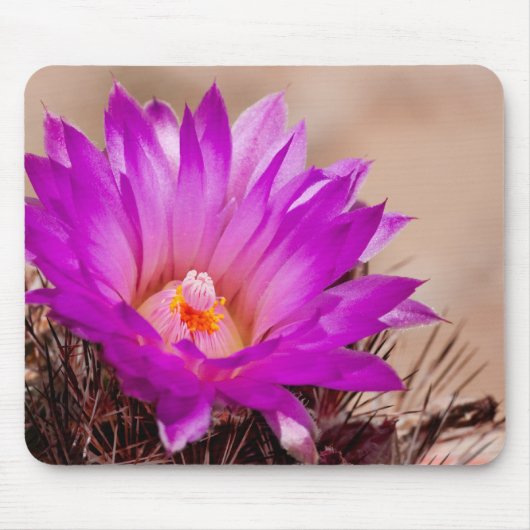 Spinystar Kaktus-Blume Mousepad (Vorne)