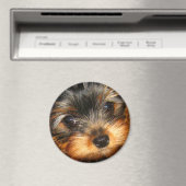 Spionierender Yorkie-Magnet Magnet (In Situ (Geschirrspüler))