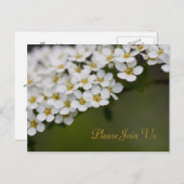 Spiraea Bitte nehmen Sie an unserer Postkarte teil (Vorne/Hinten)