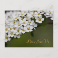 Spiraea Bitte nehmen Sie an unserer Postkarte teil