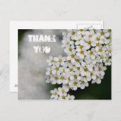 Spiraea Vielen Dank Postcard Postkarte (Vorne/Hinten)