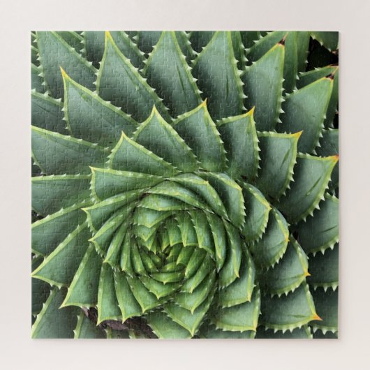 Spiral Aloe Fibonacci Puzzle (Vertikal)
