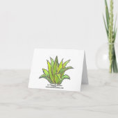 Spiral aloe notecard karte (Rückseite)