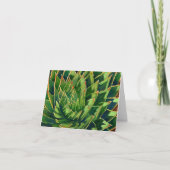 Spiral aloe notecard karte (Vorderseite)