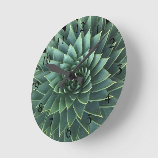 Spiral Aloe Polyphylla Sukkulent Runde Wanduhr (Winkel)