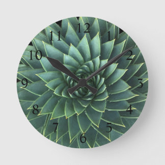 Spiral Aloe Polyphylla Sukkulent Runde Wanduhr