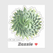 Spiral Aloe Polyphylla Sukkulturen Aufkleber (Blatt)