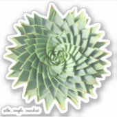 Spiral Aloe Polyphylla Sukkulturen Aufkleber (Vorderseite)