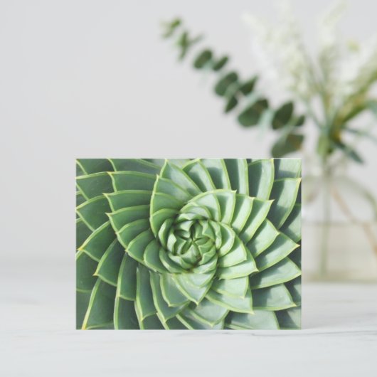 Spiral Aloe Post Card Postkarte (Stehend Vorderseite)