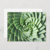 Spiral Aloe Post Card Postkarte (Vorne/Hinten)