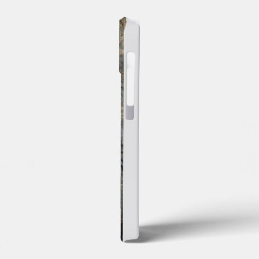 Spiral Art Symbols on curbstone, Newgrange Irland Case-Mate iPhone Hülle (Rückseite / Links)