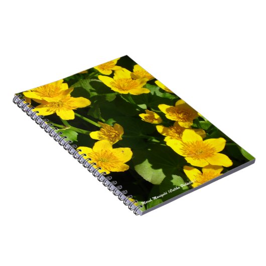 Spiral Bound Notebook 8x11" | Marsh Marigold Notizblock (Rechte Seite)