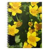 Spiral Bound Notebook 8x11" | Marsh Marigold Notizblock (Vorderseite)