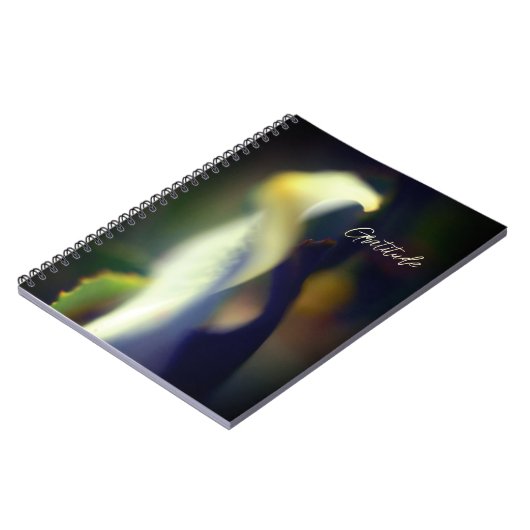 Spiral Dankbarkeit Journal Notizblock (Linke Seite)