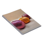 Spiral-Foto-Notebook Notizblock (Rechte Seite)