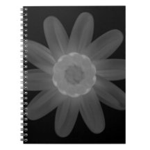Spiral-Foto-Notebook