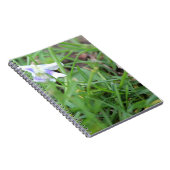 Spiral-Foto-Notebook Notizblock (Rechte Seite)