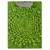 Spiral-Foto-Notizbuch Klemmbrett (Vorderseite)