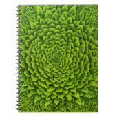Spiral-Foto-Notizbuch Notizblock (Vorderseite)