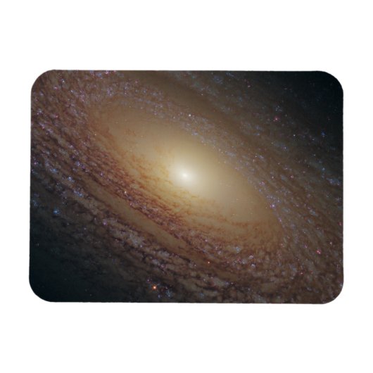 Spiral Galaxy Ngc 2841 Magnet (Horizontal)
