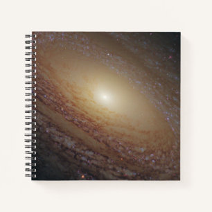 Spiral Galaxy Ngc 2841 Notizblock