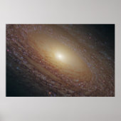 Spiral Galaxy Ngc 2841 Poster (Vorne)