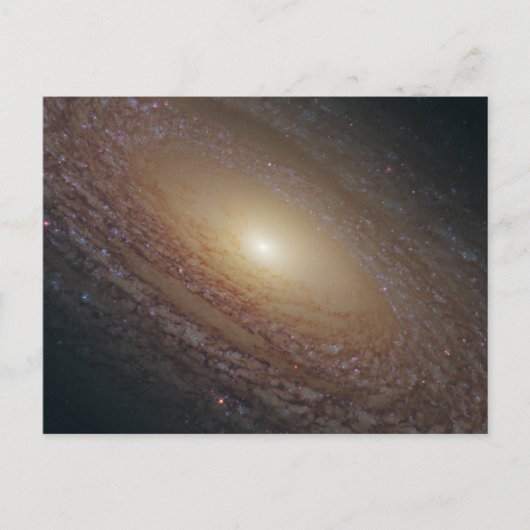 Spiral Galaxy Ngc 2841 Postkarte (Vorderseite)