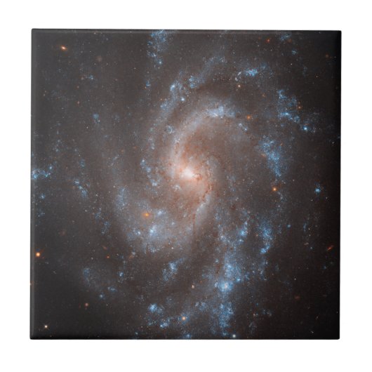 Spiral Galaxy Ngc 5584 Fliese (Vorderseite)