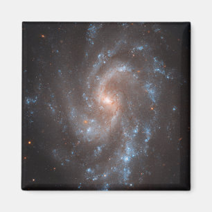 Spiral Galaxy Ngc 5584 Magnet