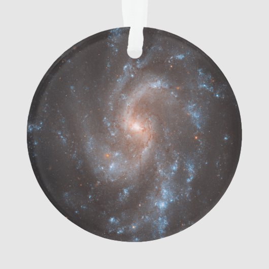 Spiral Galaxy Ngc 5584 Ornament (Rückseite)