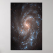 Spiral Galaxy Ngc 5584 Poster (Vorne)