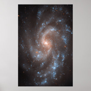 Spiral Galaxy Ngc 5584 Poster