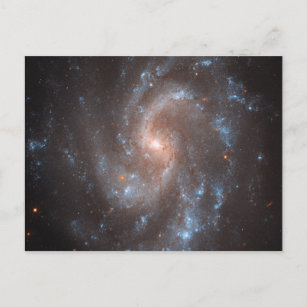 Spiral Galaxy Ngc 5584 Postkarte