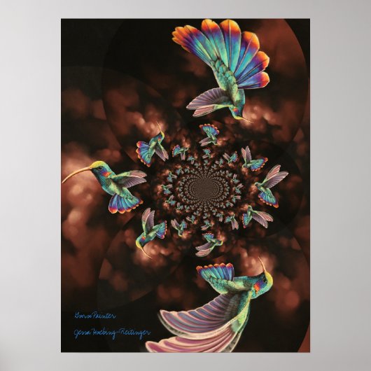Spiral Hummingbird Poster (Vorne)