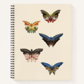 Spiral-Notebook, Albert Bierstadts Schmetterlinge Notizblock (Vorderseite)