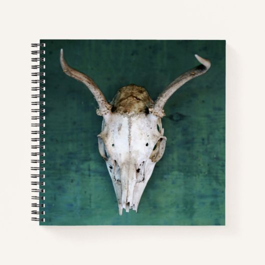 Spiral Notebook Antelope Skull Design Notizblock (Vorderseite)