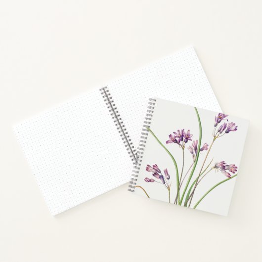 Spiral Notebook: Botanical Art Design (Hyacinth) N Notizblock (Innenseite)