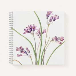 Spiral Notebook: Botanical Art Design (Hyacinth) N Notizblock