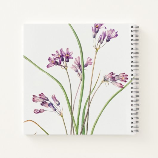 Spiral Notebook: Botanical Art Design (Hyacinth) N Notizblock (Rückseite)