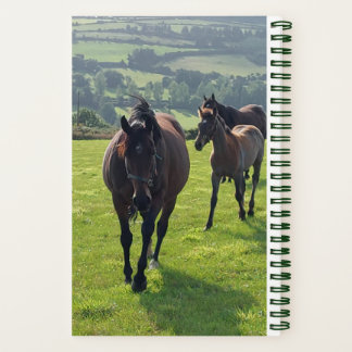 Spiral Notebook Farrier Notizblock