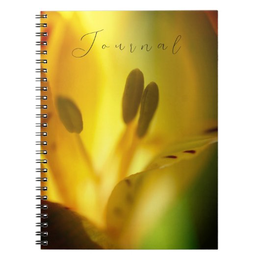 Spiral Notebook Journal Notizblock (Vorderseite)