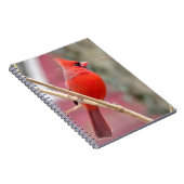 Spiral Notebook mit rotem Kardinal Notizblock (Rechte Seite)