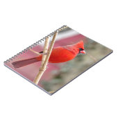 Spiral Notebook mit rotem Kardinal Notizblock (Linke Seite)