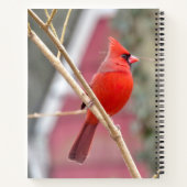 Spiral Notebook mit rotem Kardinal Notizblock (Rückseite)