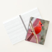 Spiral Notebook mit rotem Kardinal Notizblock (Innenseite)