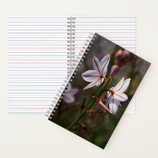 Spiral Notebook mit zwei Blume Notizblock (Innen)