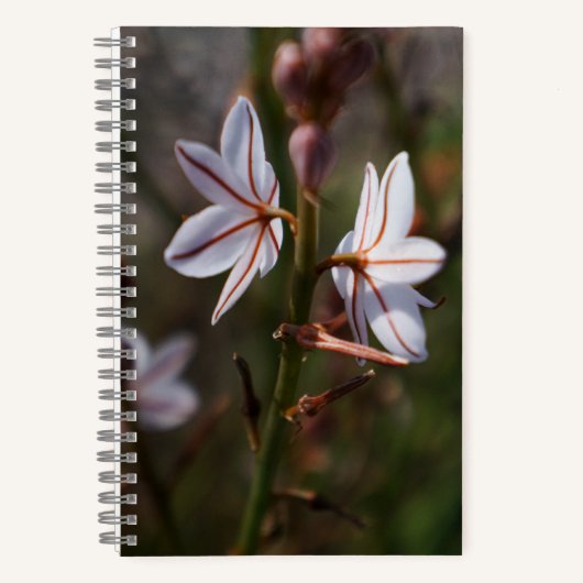 Spiral Notebook mit zwei Blume Notizblock (Vorderseite)