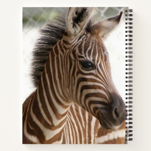 Spiral Notebook Zebra Notizblock (Rückseite)